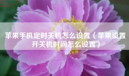苹果手机定时关机怎么设置（苹果设置开关机时间怎么设置）