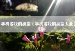 手机游戏的类型（手机游戏的类型大全）