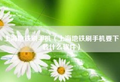 上海地铁刷手机（上海地铁刷手机要下载什么软件）