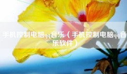 手机控制电脑qq音乐（手机控制电脑qq音乐软件）