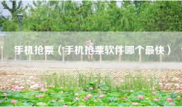 手机抢票（手机抢票软件哪个最快）