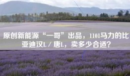 原创新能源“一哥”出品，1101马力的比亚迪汉L／唐L，卖多少合适？