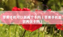 苹果手机可以装两个卡吗（苹果手机能装两张卡吗）