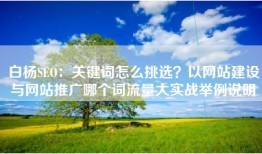 白杨SEO：关键词怎么挑选？以网站建设与网站推广哪个词流量大实战举例说明
