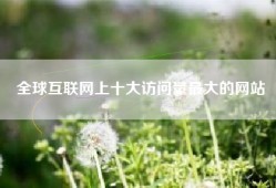 全球互联网上十大访问量最大的网站
