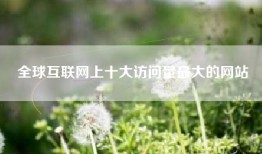 全球互联网上十大访问量最大的网站