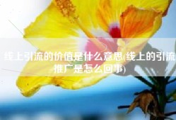 线上引流的价值是什么意思(线上的引流推广是怎么回事)
