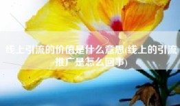 线上引流的价值是什么意思(线上的引流推广是怎么回事)