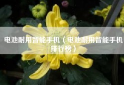 电池耐用智能手机（电池耐用智能手机排行榜）