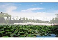 手机壁纸酷炫（手机壁纸酷炫男生）