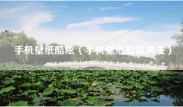 手机壁纸酷炫（手机壁纸酷炫男生）