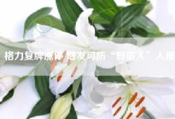 格力复牌涨停 增发可防“野蛮人”入侵