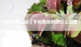 手机黑屏时间（手机黑屏时间怎么设置）