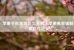 苹果手机黑屏怎么关机（苹果黑屏强制重启方法）