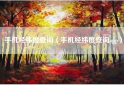 手机经纬度查询（手机经纬度查询app）