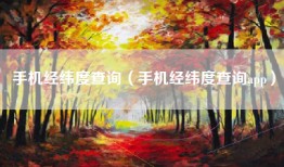 手机经纬度查询（手机经纬度查询app）