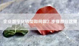 企业数字化转型如何做？步骤都在这里