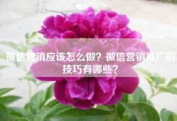 微信营销应该怎么做？微信营销推广的技巧有哪些？