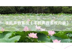 手机声音系统（手机声音系统内录）