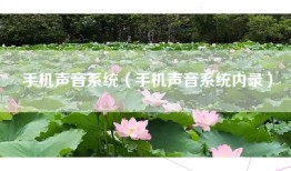 手机声音系统（手机声音系统内录）