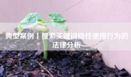 典型案例丨搜索关键词隐性使用行为的法律分析