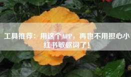 工具推荐：用这个APP，再也不用担心小红书敏感词了！