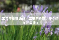 苹果手机新功能（苹果手机新功能介绍在哪里找）