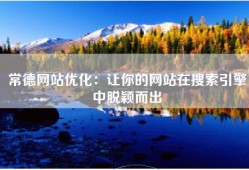 常德网站优化：让你的网站在搜索引擎中脱颖而出