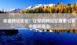 常德网站优化：让你的网站在搜索引擎中脱颖而出