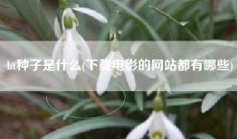 bt种子是什么(下载电影的网站都有哪些)