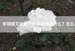 非物质文化遗产申请流程是什么？怎么申请？