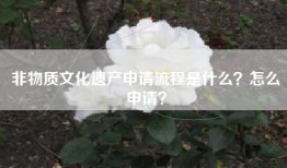 非物质文化遗产申请流程是什么？怎么申请？
