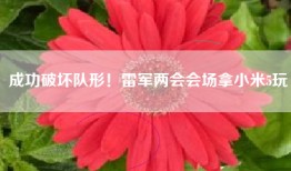 成功破坏队形！雷军两会会场拿小米5玩