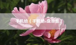 手机给（手机给u盘加密）