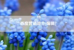 百度营销简介[编辑]