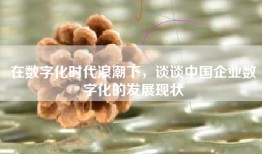 在数字化时代浪潮下，谈谈中国企业数字化的发展现状