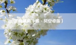 手机赛风（赛·风安卓版）
