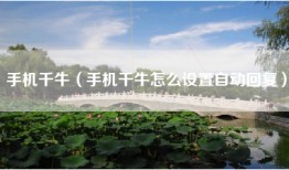 手机千牛（手机千牛怎么设置自动回复）