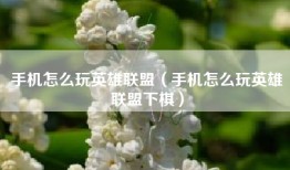 手机怎么玩英雄联盟（手机怎么玩英雄联盟下棋）