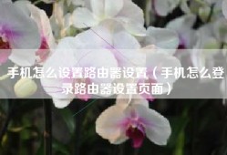 手机怎么设置路由器设置（手机怎么登录路由器设置页面）