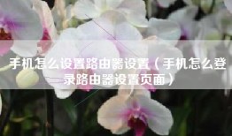 手机怎么设置路由器设置（手机怎么登录路由器设置页面）