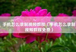 手机怎么录制视频教程（手机怎么录制视频教程免费）