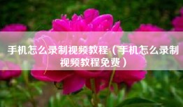手机怎么录制视频教程（手机怎么录制视频教程免费）