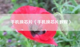 手机换芯片（手机换芯片教程）