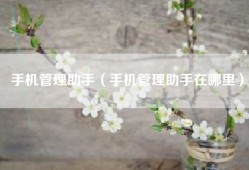 手机管理助手（手机管理助手在哪里）