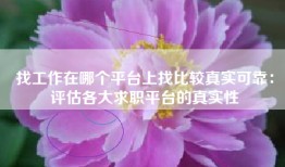 找工作在哪个平台上找比较真实可靠：评估各大求职平台的真实性