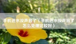 手机进水没声音了（手机进水没声音了怎么处理比较好）