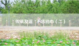 传承友谊   不忘初心（二）