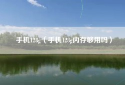 手机128g（手机128g内存够用吗）