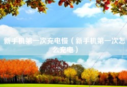 新手机第一次充电慢（新手机第一次怎么充电）
